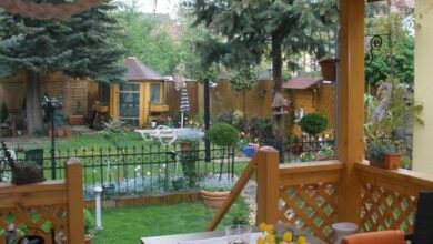 Sopron Eszter Apartman 