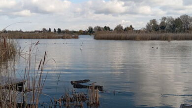 Stég Vendégház Szigetszentmárton 