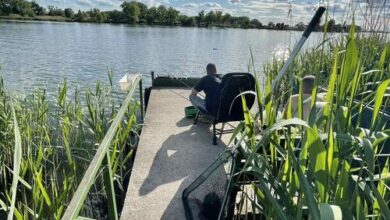 Stéghouse Kis-Duna Üdülőház Dömsöd 