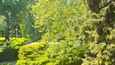 Stúdió 27 Apartman Csopak 