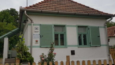 Süni-Lak Vendégház Fedémes 