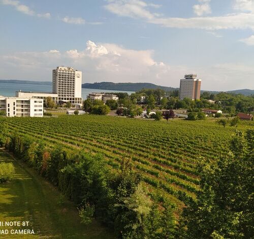 Sunset Hill Füred Apartman Balatonfüred 