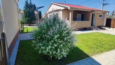 Sweet Summer Apartman Zsóry Mezőkövesd 