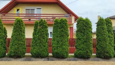 Szaffi Apartman Hajdúszoboszló 