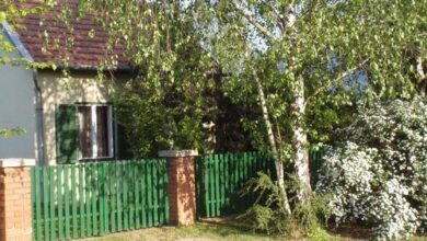 Szanazugi Oázis Vendégház Gyula 