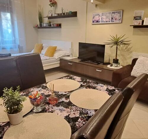 Szandi Belvárosi Apartman Szeged 