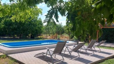 Szárcsa Apartman Sarud 