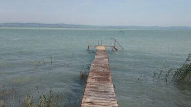 Szárszó Parti Apartman Balatonszárszó 