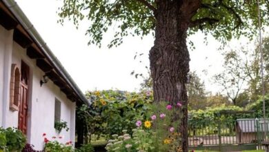 Szarvasszálló Vendégház Magyarszombatfa 