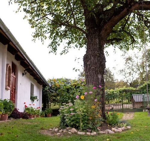 Szarvasszálló Vendégház Magyarszombatfa 