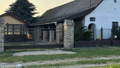 Százholdas Pagony Vendégház Solt 