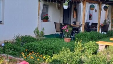 Százszorszép Vendégház Csongrád 