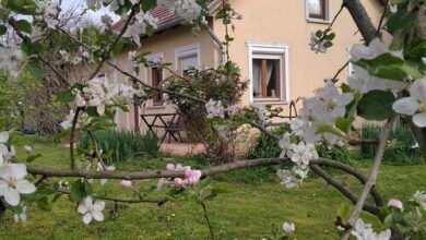 Szegi Menedék Vendégház Becsvölgye 