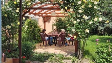 Székely Apartman Gyula 