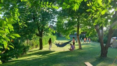 Szellőrózsa Vendégház Szilvásvárad 