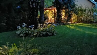 Szent Erzsébet Apartmanház Kecskemét 