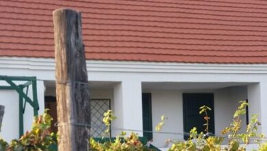 Szent Márton Vendégház Somló Doba 