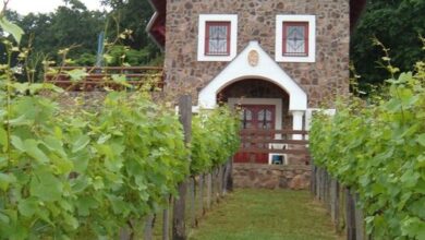 Szent Orbán Vendégház Ábrahámhegy 