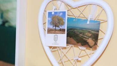 Szent Rita Vendégház Lókút 