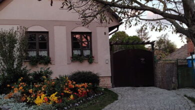 Szent Tamás-hegyi Apartman Esztergom 