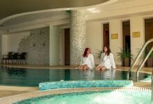 Szépia Bio & Art Hotel Zsámbék 