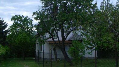 Szépkilátó Apartman Csopak 