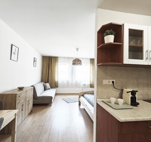 Szilfaliget Apartman Cserkeszőlő 