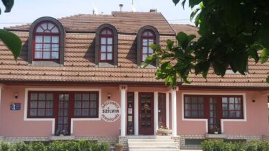 Szilvia Vendégház Bük Bükfürdő 