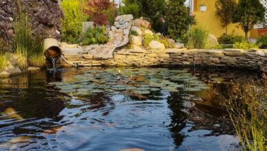 Szilvia Vendégház Siófok 