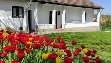 Szira Porta Vendégház Hollókő 