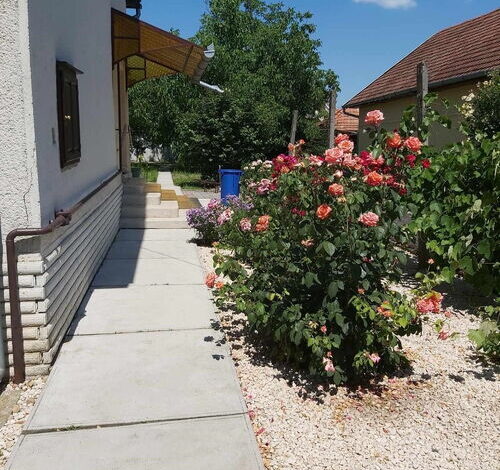 Szitakötő Apartman Gyula 