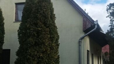 Szivárvány Apartman Zsóry Szihalom 