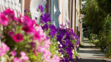 Szivárvány Panzió Szeged 