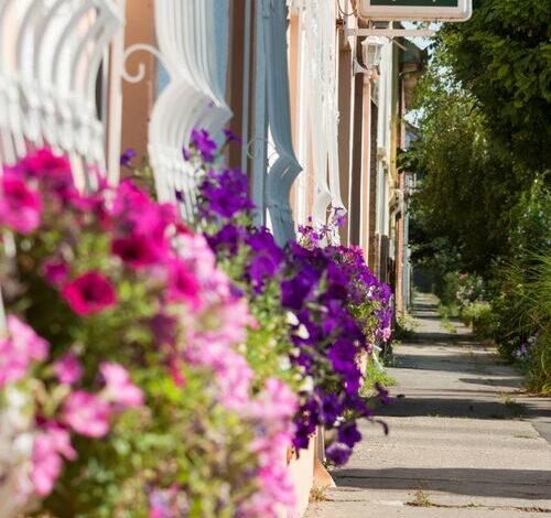 Szivárvány Panzió Szeged 