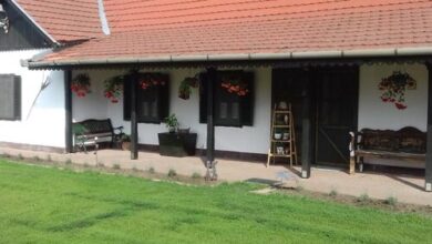 Szívünk Csücske Vendégház Sarud 