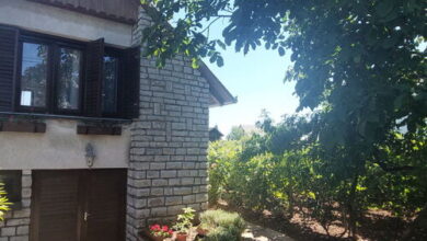 Szóló Szőlő Vendégház 