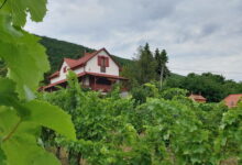 Szőlőcskei Vendégház és Pihenő Eger 