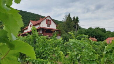 Szőlőcskei Vendégház és Pihenő Eger 