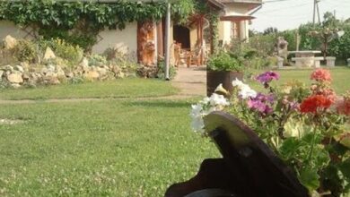 Szőlőlugas Apartman Tiszaszőlős 