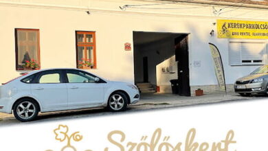 Szőlőskert Kerékpáros Vendégház Fertőrákos 