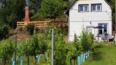 Szőlőskert Vendégház Baj 