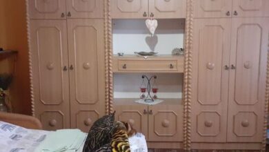 Szőlőskert Vendégház Villány 