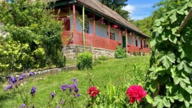 Szőlősor Vendégház Terény 