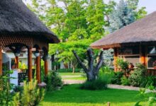 Szőlőszem Farm Tiszaszőlős 