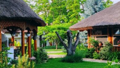 Szőlőszem Farm Tiszaszőlős 