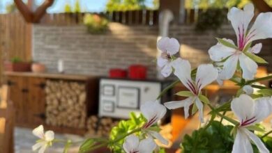 Szőlőszem Vendégház Abádszalók 