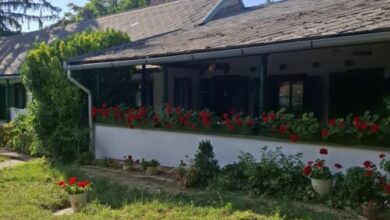 Szt.Flórián Vendégház Szakcs 