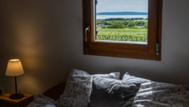 Tagyon Birtok Kései Szüret Apartmanház Tagyonhegy 