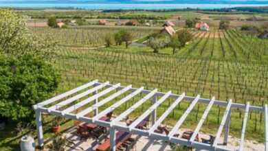 Tagyon Birtok Tulipán Apartmanház Tagyonhegy 