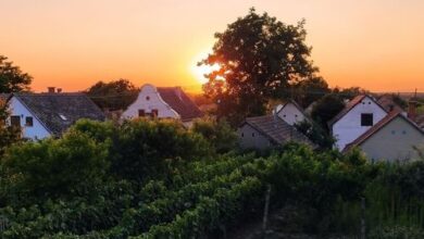 Takács Pince Apartman Hajós 